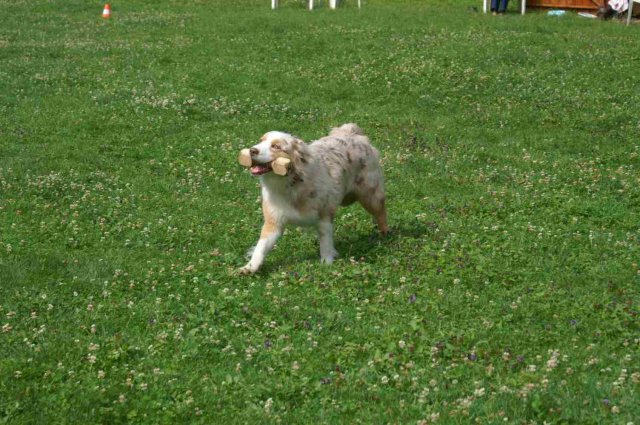 obeissance 2014-08-02